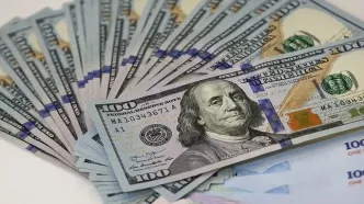 قیمت دلار امروز یکشنبه ۵ مهر ۱۴۰۵ هنگام بازگشایی بازار / دلار آزاد چند؟