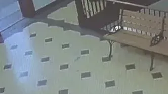 فرار ناکام مرد محکوم از دادگاه