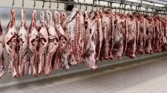 کاهش ۱۱ درصدی عرضه گوشت قرمز در مرداد ۱۴۰۵