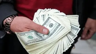 ۴۴ نفر در پرونده‌های رفع تعهدات ارزی بازداشت شدند/ اکنون ۸.۵ میلیارد یورو رفع تعهد ارزی صورت گرفته است