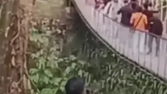 لحظه فرو ریختن یک پل معلق در مراسم افتتاحیه