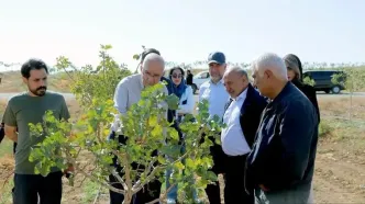 سرمایه‌گذاران داغستانی از ظرفیت‌های سرمایه‌گذاری منطقه آزاد ماکو بازدید کردند