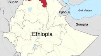 مصر و سودان اتهامات اتیوپی در حمایت از جدایی‌طلبان تیگرای را رد کردند