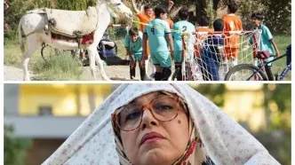 خانم والده با بازی رضا عطاران ۹۰ میلیارد تومان فروش کرد!