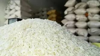 قیمت جدید انواع برنج هاشمی اعلام شد