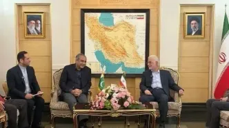 وزیر کشور پاکستان وارد تهران شد