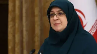 زمستان سخت گازی در شمال؟/ هشدار مهاجرانی درباره تأمین گاز