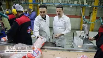 آغاز خرید مرغ مازاد بازار از امروز