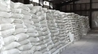 کشف یک تن آرد قاچاق در الیگودرز