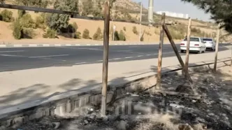 زوال خاموش؛ خشکسالی چگونه فضای سبز منطقه ۲۲ را می‌بلعد +تصاویر