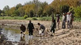 زاینده‌رود بی‌آب/ هزاران آبزی در بستر خشک رودخانه تلف شدند
