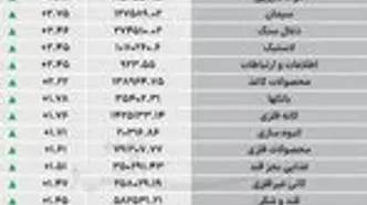 نبض شاخص