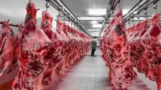 قیمت گوشت قرمز امروز دوشنبه ۱۳ مهر ۱۴۰۵ + جدول