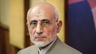 انتقادات شدید به اظهارات میرسلیم درباره تیبا و واردات خودرو