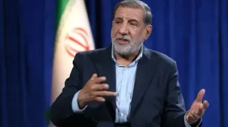کوثری: طرح مقابله با نفوذ برای جلوگیری از سوءاستفاده بیگانگان است