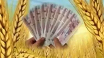 تأخیر در پرداخت مطالبات گندمکاران مشمول وجه التزام شود