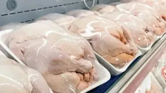 گرانی مرغ در سایه افزایش تولید؛ چرا سفره مردم ارزان‌تر نمی‌شود؟