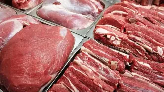 ماجرای مجوز عرضه گوشت الاغ و اسب چیست؟ توضیح رئیس شورای تأمین دام + جزئیات