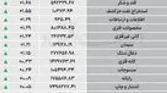 نبض شاخص