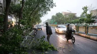 ۷۲۵ مصدوم و ۱۴ جان‌باخته در حوادث جوی مهر ماه