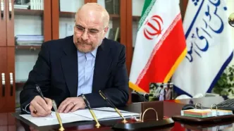 زبان فارسی از ارکان بنیادین هویت تاریخی و عامل تقویت وحدت ملی است