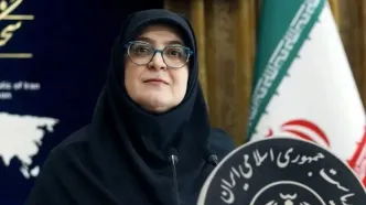 سخنگوی دولت: امنیت اجتماعی بدون توجه به رفاه عمومی محقق نمی‌شود