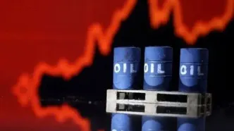 افزایش قیمت نفت متوقف شد
