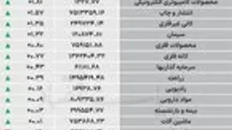 نبض شاخص
