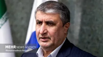رئیس سازمان انرژی اتمی: از حق غنی سازی کوتاه نمی‌آییم