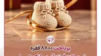 پرداخت 8800 فقره تسهیلات فرزندآوری بانک پارسیان در 6ماهه سال 1405