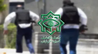 انهدام ۴ شبکه خرابکاری خیابانی در سیرجان