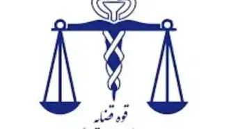 راه‌اندازی هرچه سریع‌تر نرم‌افزار تخصصی و ورود آن به چرخه خدمت‌رسانی