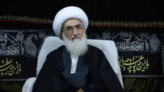 مراحل درمان آیت‌الله نوری همدانی با موفقیت به پایان رسید
