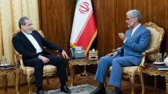 دیدار برخی سفرای ایران با عراقچی