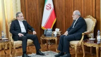 دیدار سفیر ایران در ایرلند با عراقچی