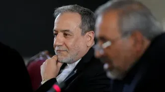 دیدار مجمع نمایندگان استان تهران در مجلس با عراقچی