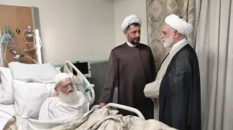 عیادت حجت‌الاسلام محسنی اژه‌ای از آیت‌الله نوری همدانی