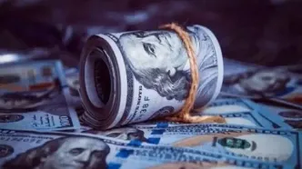 دستور جدید بانک مرکزی برای دلار؛ فقط آبی باشد!