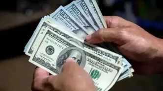 همتی: نرخ دلار بازهم کاهش می یابد