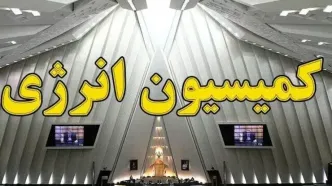 بررسی تقاضای تحقیق و تفحص از عملکرد تراستی‌ها در کمیسیون انرژی