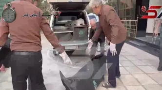 تصاویر اجساد قتل عام خانوادگی شهرک غرب