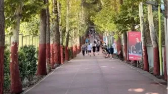 مجموعه ورزشی انقلاب به دلیل بی‌حجابی تعطیل شد