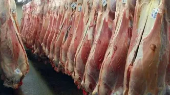 قیمت گوشت قرمز امروز چهارشنبه ۱۵ مهر ۱۴۰۵/ گوشت گوسفندی و گوساله کیلویی چند؟ + جدول