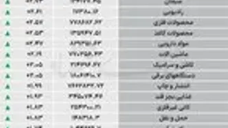 نبض شاخص