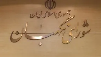 اطلاعیه شورای نگهبان درباره اظهارات یکی از نمایندگان سابق مجلس