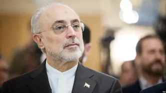 پیش‌بینی علی‌اکبر صالحی از جنگ: بعید است جنگ سوم آغاز شود