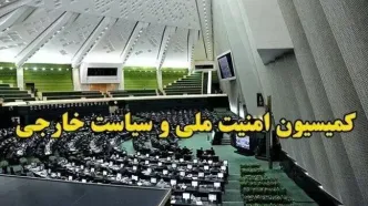 وزیر پیشنهادی دفاع برنامه‌های خود را در کمیسیون امنیت ملی تشریح کرد