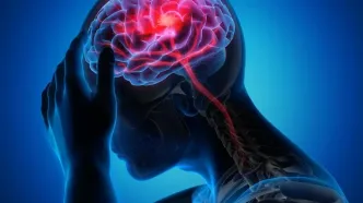 مرگ مغزی چیست؟ تفاوت مرگ مغزی با کما و حقیقتی که خانواده‌ها باید بدانند
