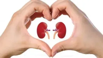 ۵ ماده غذایی برای جلوگیری از سنگ کلیه