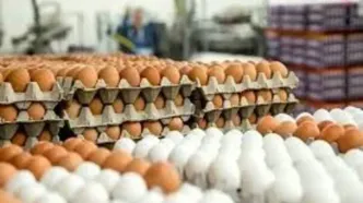 افزایش بی‌سابقه قیمت تخم مرغ/ نیمرو و املت هم دست نیافتنی شد